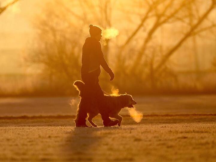Ein Mann geht in Baden-Württemberg mit seinem Hund in der Morgensonne spazieren.