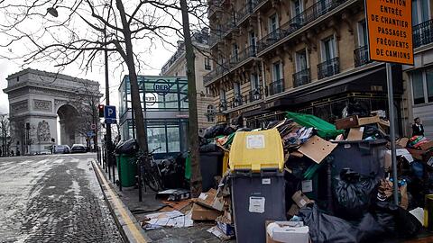 Im Kommunalwahlkampf in Paris versprechen viele Kandidatinnen und Kandidaten f&uuml;r das B&uuml;rgermeisteramt ein h&auml;rteres Vorgehen gegen Ratten. (Archivbild)