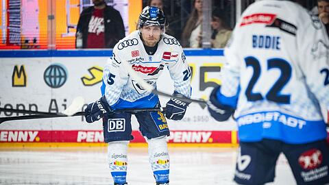 Der ERC Ingolstadt um Nationalspieler Leon H&uuml;ttl ist in der Champions League im Viertelfinale ausgeschieden. (Archivbild)