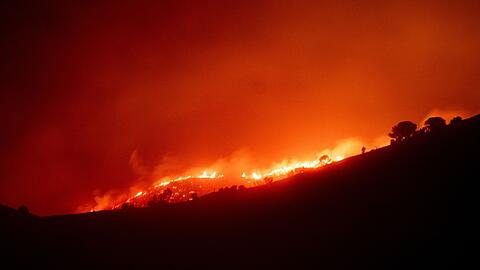 Der Waldbrand in der Nähe von Portbou in Katalonien konnte weitgehend unter Kontrolle gebracht werden.