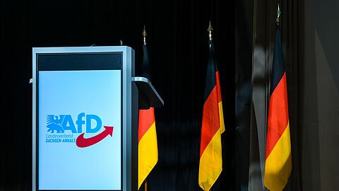 Insbesondere der AfD-Landesverband in Sachsen-Anhalt steht im Fokus. (Archivbild)