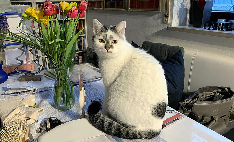 Lilly