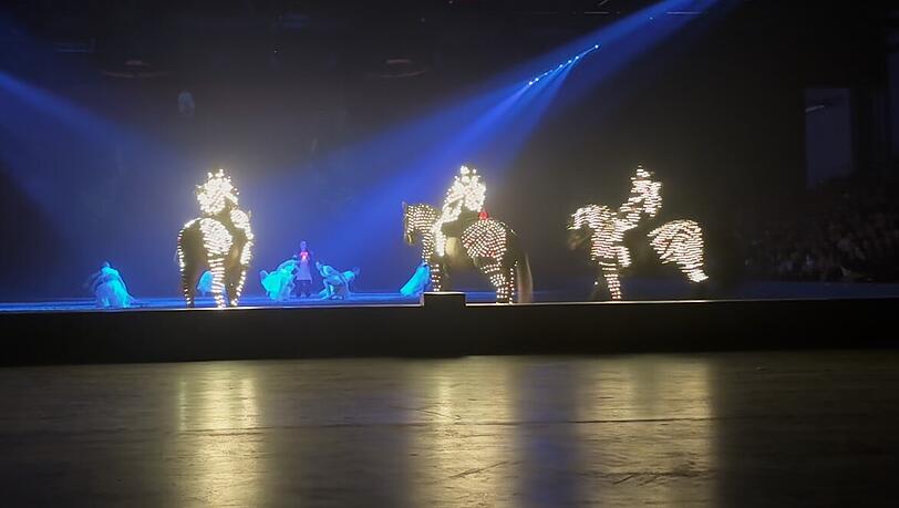 Momentaufnahme aus Cavalluna-Show: Nach Aufmerksamkeit heischende Feuer-, Licht- und Soundeffekte sind laut Peta feste Bestandteile des Programms und sollen Publikum anziehen.