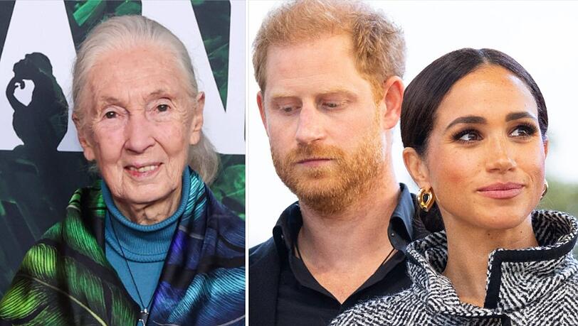 Prinz Harry und seine Frau Meghan (r.) trauern um Naturschützerin Jane Goodall.