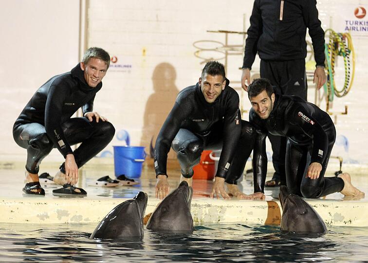 Für die Löwen ging's am Mittwoch noch tierisch zu: Im Delfinarium durften sie mit Flipper & Co. eine Runde schwimmen.
