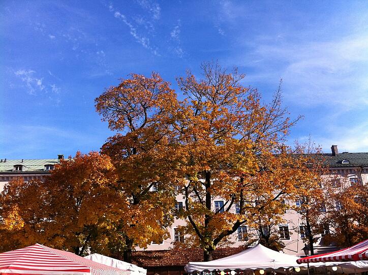 So schön bunt ist die Auer Herbst-Dult. Die AZ war auf dem Mariahilfplatz. Klicken Sie sich durch die Bilderstrecke.
