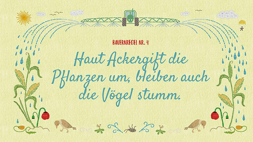 Streit um die "neuen Bauernregeln" von Umweltministerin Hendricks.