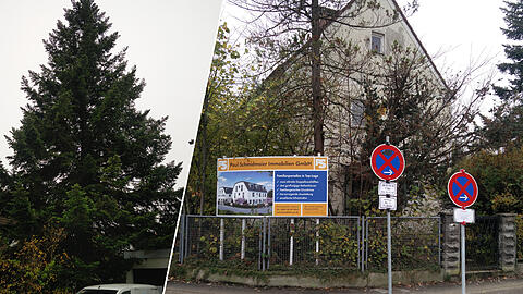 Die Tanne (links) muss dem Neubau weichen. Wo vorher ein Haus stand, entstehen nun insgesamt sechs.