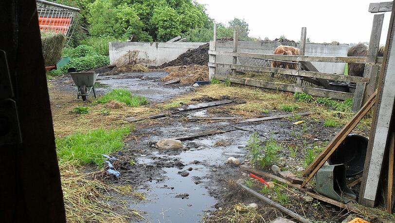 Brackwasser, Schlamm und Dreck: Auf diesem Bauernhof im Kreis Ebersberg vegetierten die Vierbeiner der Angeklagten dahin. Brackwasser, Schlamm und Dreck: Auf diesem Bauernhof im Kreis Ebersberg vegetierten die Vierbeiner der Angeklagten dahin.