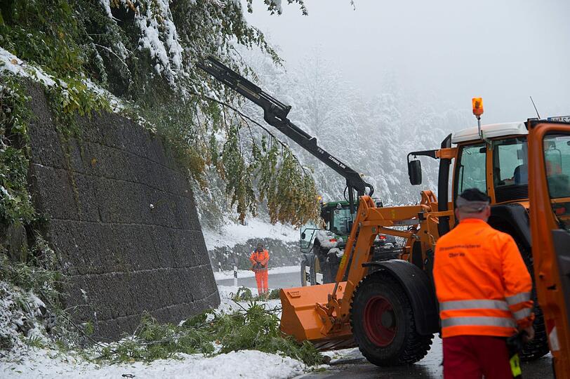 Arbeiter versuchen am 11.10.2013 auf der gesperrten Bundesstraße B2 zwischen Garmisch-Partenkirchen und Klais (Bayern) die verschneiten Bäume, die auf die Straße zu fallen drohen, zu entfernen.
