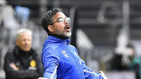 Hat eine Job-Garantie bekommen: Schalke-Trainer David Wagner.