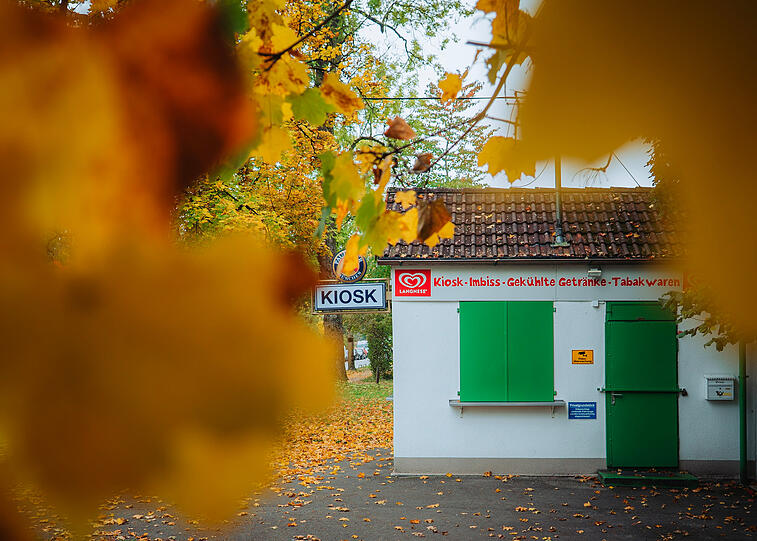 So farbenfroh ist der Herbst in München.