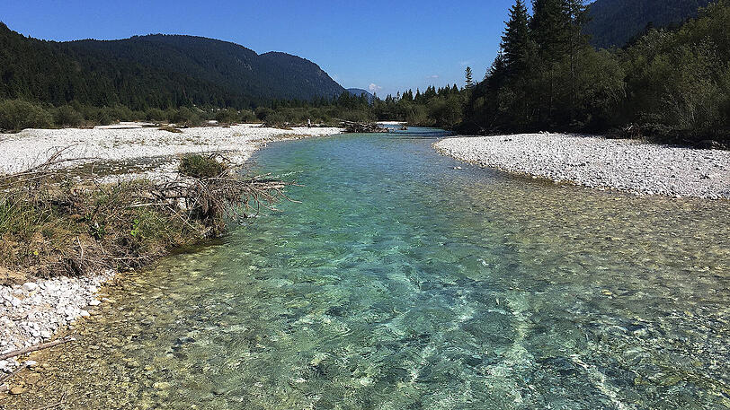 Traumhafte Landschaft: die Isar zwsichen Vorderriß und Wallgau.