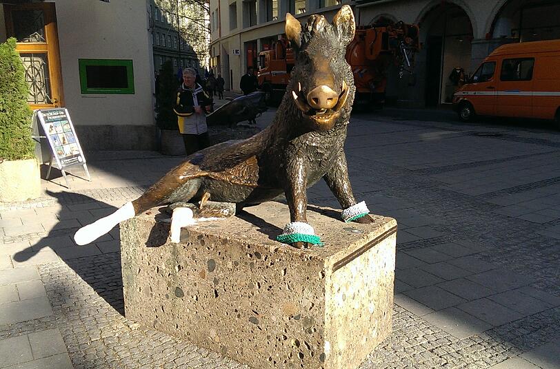 Die weihnachtliche Nächstenliebe der Münchner hat der Wildsau warme Hufe beschert