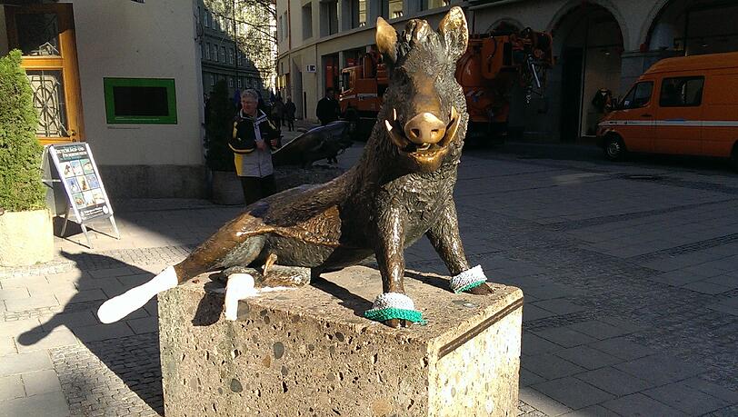 Die weihnachtliche Nächstenliebe der Münchner hat der Wildsau warme Hufe beschert Die weihnachtliche Nächstenliebe der Münchner hat der Wildsau warme Hufe beschert
