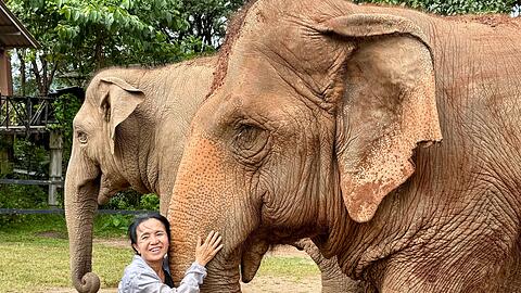 Schon mit 17 entschied Lek, ihr Leben den Elefanten zu widmen.