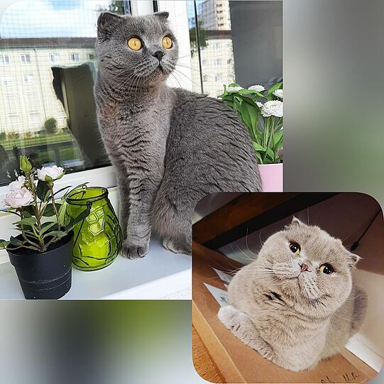 Mia und Pia