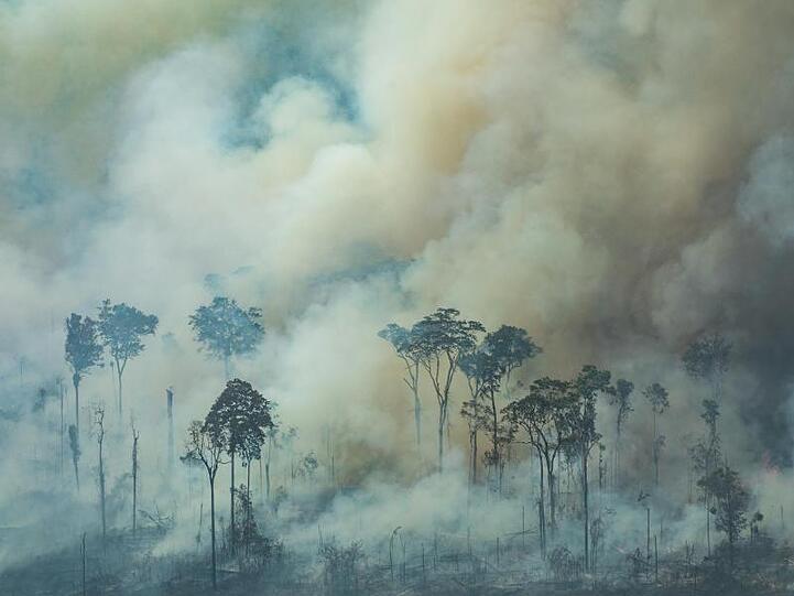 Bei einem Brand nahe der Stadt Caneiras do Jamari in Bundesstaat Rondônia steigt dichter Rauch auf.