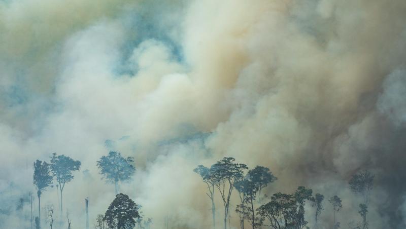 Bei einem Brand nahe der Stadt Caneiras do Jamari in Bundesstaat Rondônia steigt dichter Rauch auf. Bei einem Brand nahe der Stadt Caneiras do Jamari in Bundesstaat Rondônia steigt dichter Rauch auf.
