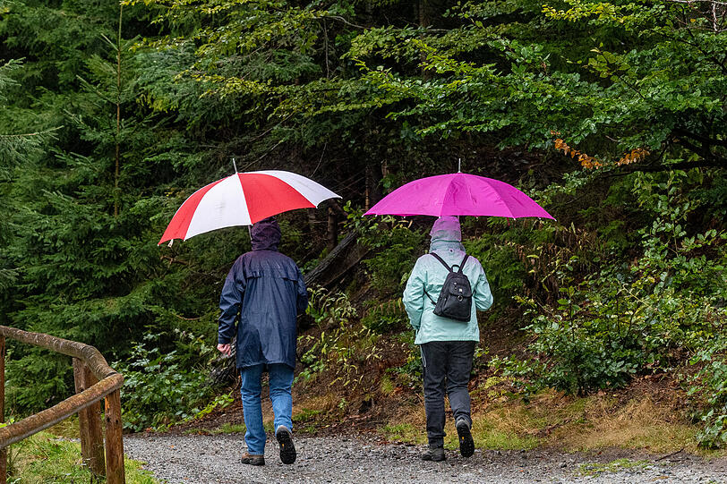 Wanderer sind mit Regenschirmen am Ufer des Arbersees unterwegs. Mit starkem Regen startet der Südosten Bayerns in das Wochenende. Der Deutsche Wetterdienst warnt vor Unwettern. In den Alpen soll es Schnee geben.