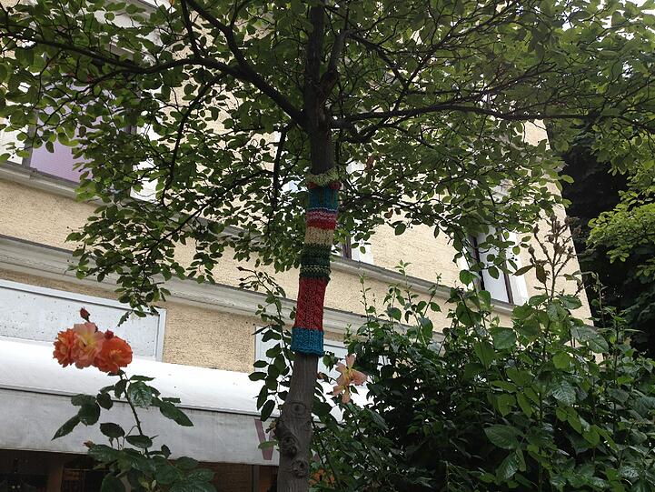 Ein Hingucker in der Volkartstraße: Den Bäumen wurden kleine Wollhüllen um die Stämme gestrickt.