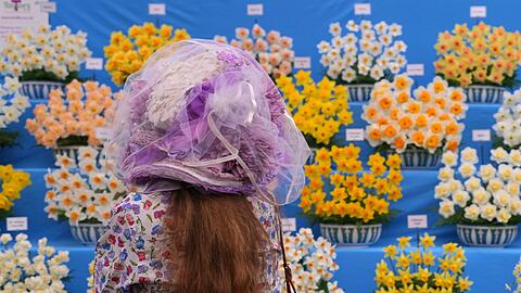 Chelsea Flower Show: Sehen und gesehen werden.