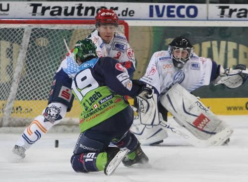 Doppeltorschütze gestern in Mannheim: Tiger-Knipser Greg Leeb (vorne).