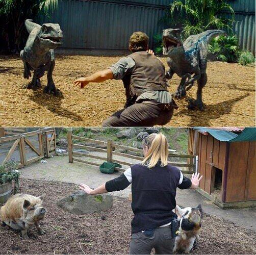 #JurassicZoo: Wenn Jurassic World Wirklichkeit wird