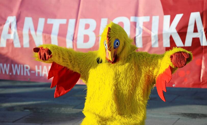 Aktivisten protestieren gegen den Einsatz von Antibiotika in der Tiermast. Eine Stude der Grünen bestätigt ihre Angst.