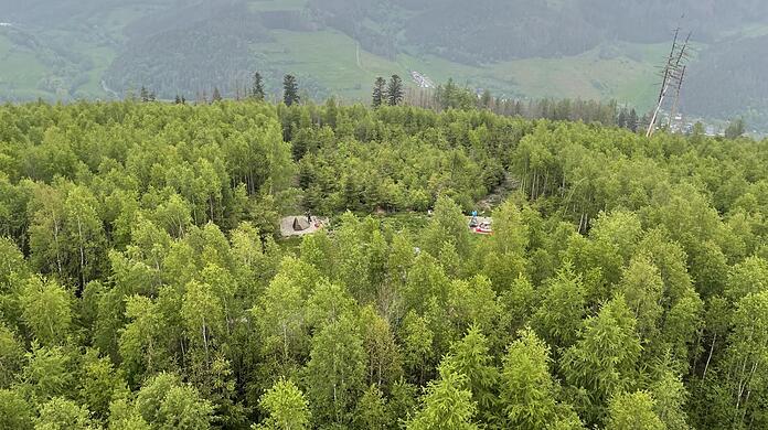 Inmitten von dichtem Wald blitzen die Zelte des Trekkingcamps an der Thüringer Warte hervor.