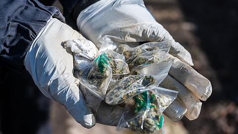 Eine Polizistin hält kleine Tütchen mit Marihuana in den Händen.