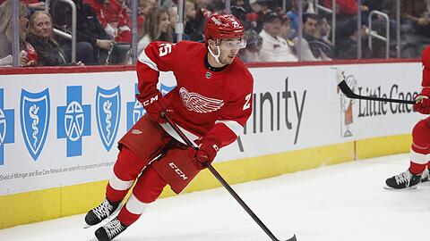 Von den Red Wings zu den Red Bulls: Taro Hirose kommt aus der NHL-Organisation Detroit nach München.