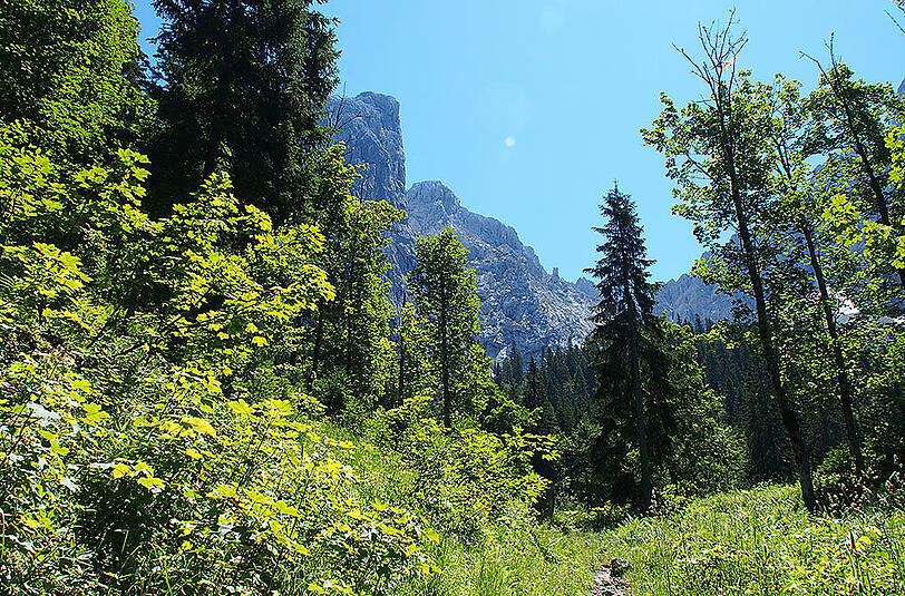 Herbst-Idylle: Der Almweg rund um den Wilden Kaiser.