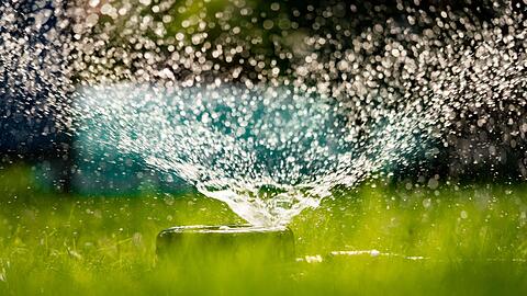 In der niederbayerischen Stadt Landau an der Isar gibt es wegen der anhaltenden Trockenheit jetzt ein Bew&auml;sserungsverbot. (Symbolfoto)