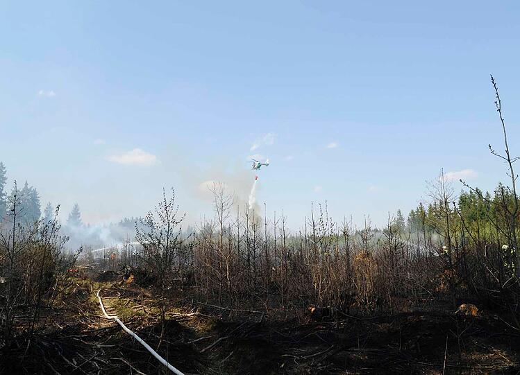 Waldbrand am Stadtrand von München: Rund zwei Hektar Jungwald sind vernichtet worden. Die Bilder der Feuerwehr.