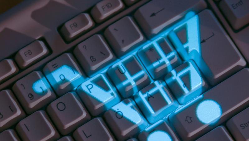 Die Verbraucherschutzminister der Länder planen höhere Hürden für die Eröffnung eines Online-Shops. Die Verbraucherschutzminister der Länder planen höhere Hürden für die Eröffnung eines Online-Shops.