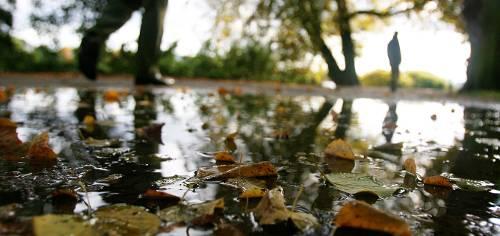 Nasskalt und richtig ungemütlich: Jetzt im Herbst sollte man mit Ernährung, Bewegung und Entspannung gezielt seine Abwehrkräfte stärken.