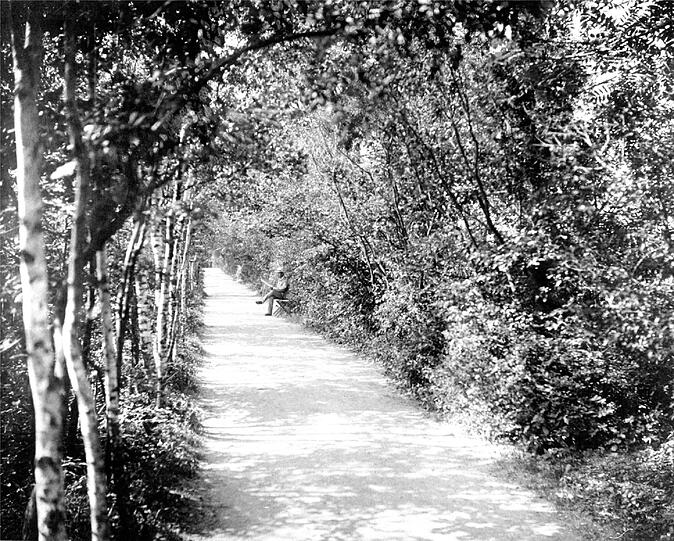 So idyllisch: Das Ungererbad um 1890