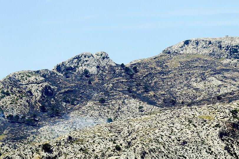 Neue Bilder: Waldbrand auf Mallorca
