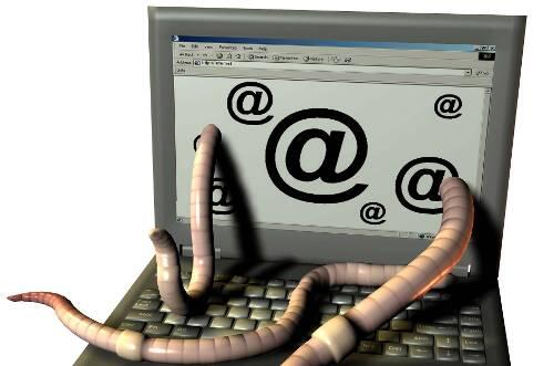 Der Computervirus "Conficker" greift in dieser Woche an.