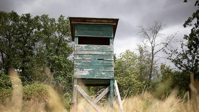Das bayerische Jagdrecht wird reformiert. (Archivbild)