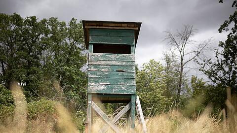 Das bayerische Jagdrecht wird reformiert. (Archivbild)