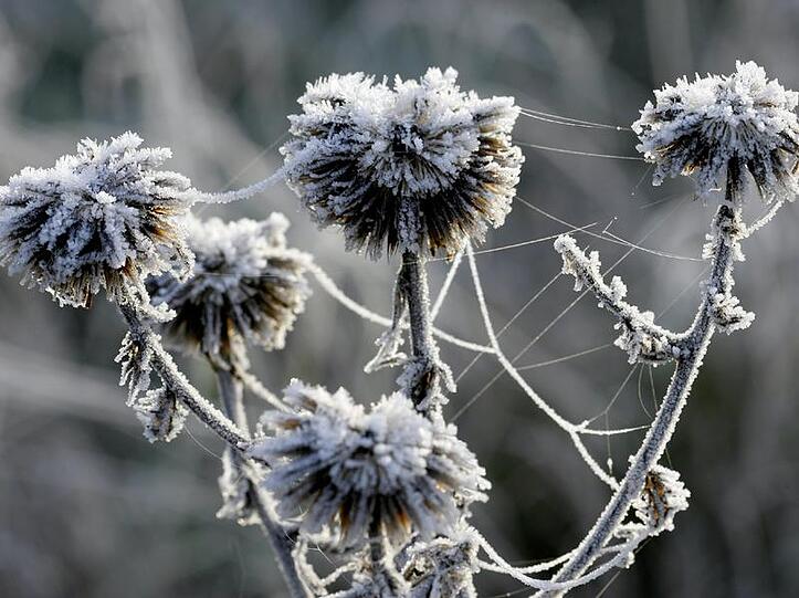 Der Frost kommt - Bayern wird sibirisch.