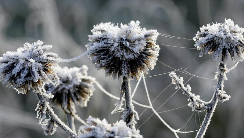 Der Frost kommt - Bayern wird sibirisch. Der Frost kommt - Bayern wird sibirisch.