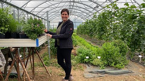 Antonia Habeker baut auch Kräuter, Gurken und vieles mehr in ihrem Gewächshaus an.