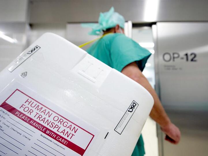 Styropor-Behälter zum Transport von zur Transplantation vorgesehenen Organen. IN dem Gesetzentwurf ist unter anderem ein neuer Bereitschaftsdienst mit mobilen Ärzteteams geplant.