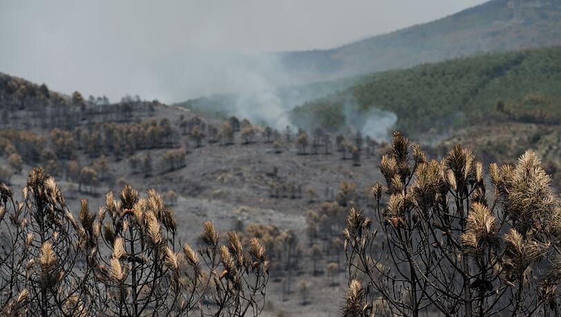Das Feuer in der Region von Guadalajara nordöstlich von Madrid hat bereits 13.000 Hektar Wald- und Buschland vernichtet. Das Feuer in der Region von Guadalajara nordöstlich von Madrid hat bereits 13.000 Hektar Wald- und Buschland vernichtet.