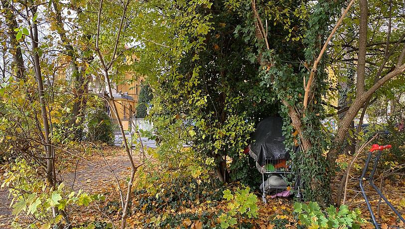 Im Hintergrund das Lenbachhaus an der Luisenstraße, vorne hat jemand sein Hab und Gut in einem Einkaufswagen versteckt. Im Hintergrund das Lenbachhaus an der Luisenstraße, vorne hat jemand sein Hab und Gut in einem Einkaufswagen versteckt.