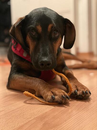 Milow