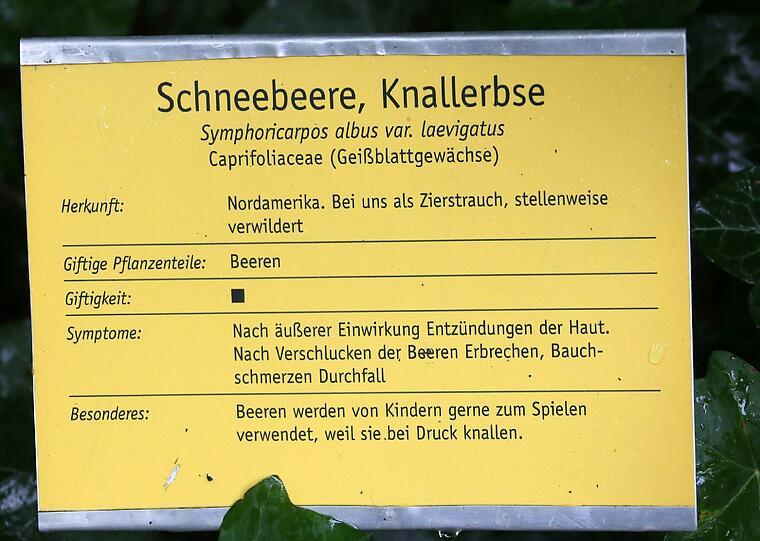 Auflösung siehe Tafel
